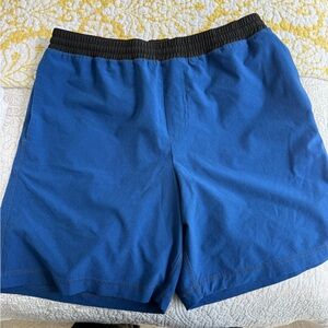 Chubbies Shorts